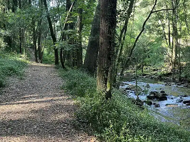Hiking